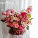메리플레르