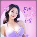볼륨성형외과의원 이미지