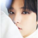 현대서호