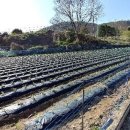 엄정마을회관 이미지