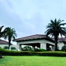 스넥테라스 | 제주 신라호텔 마운틴뷰 스탠다드 더블룸 1박 후기 및 더파크뷰 디너 내돈내산 솔직후기