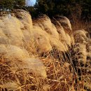 승기천 신연수역 이미지