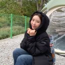 구스다운 패딩 추천! 아이더 써큘라트 푸퍼다운 남자 여성 숏패딩 알아보자