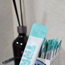 디엔차이 이미지