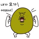 로자리안 이미지