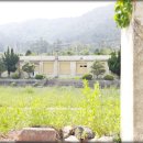 의성초등학교 이미지