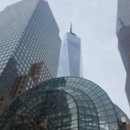 와이드모트
