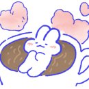 스튜디오지담