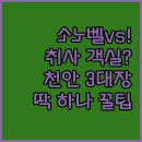 천안브라운도트천안역점 | 소노벨 천안 vs 상록리조트 vs 브라운도트 워터파크와 취사 가능한 객실 딱 하나 고르는 방법