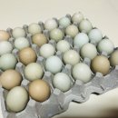 서동골농장 이미지