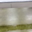 미송퍼니처
