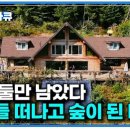 영월꿈꾸는농부 민박 | 회사 그만두고 17,000평 산을 통째로 산 서른 살, 남은 돈 120만 원으로 6평 집을 지었더니