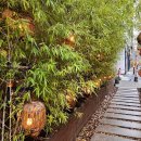 마곡도넛 | 분위기 좋은 술집추천! 구주마곡, 구주도넛 후기