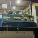 꾸워먹는바다 이미지