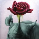 antic and  이미지