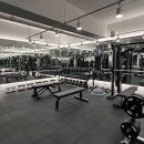 라이언 휘트니스 이미지