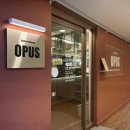 오퍼스(OPUS) 이미지