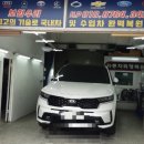 에이스덴트 이미지