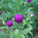 한무도장 이미지