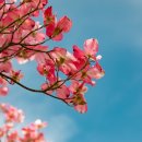 수청한라비발디공인중개사사무소 이미지