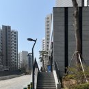 정쌤펫살롱 이미지