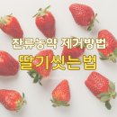 해담Q마트 | 딸기 씻는법 제대로 알려드림 딸기 세척법 소금물 잔류농약 제거 방법