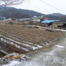 대안1리마을회관 이미지