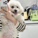 쥬베셀랩 | 서울 곳곳을 누벼버렸다. 친구들 좋아하는 기혼여성의 2월 일상 🧚🏼‍♀️