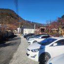 세렌의정원 | [밀양단장면카페] 대구근교 크리스마스 이색 카페 '트리 인 블루'