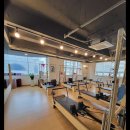 필라펠리스 이미지