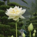 가득농장 이미지