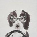 개팔자 상팔자 이미지