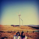 동갑목장 이미지