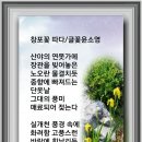 창포꽃 따라/글꽃윤소영 이미지