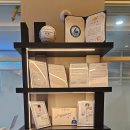 월성태권도장 이미지