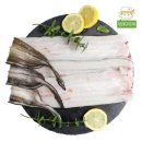 바다야 밥 먹자 이미지