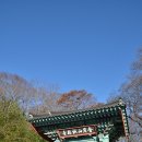 겨울미소만물