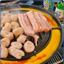 신마포갈매기 이미지