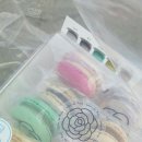 살롱드로즈 SALON DE ROSE