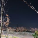 신전떡볶이 송도글캠점 이미지