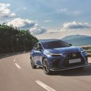 제너레이션 이미지