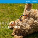 펫링크 이미지