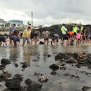 숨비소리 이미지