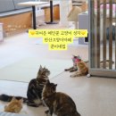 쿤이네집 이미지