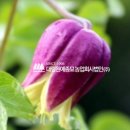 농업회사법인(주)대림 이미지