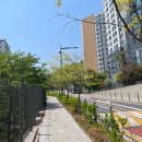 매봉산 숲속도서관 | [성동구/옥수동] 성동구립 매봉산 숲속 도서관