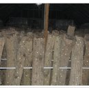 삼박골농장 이미지