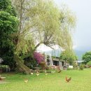 용안농장 이미지