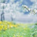 참좋은인연 - 북구 천곡동 | 참좋은인연