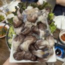 노다지칼국수 | 동대문 광장시장 제철 해산물 새조개 쭈꾸미 콜키지 노다지품바